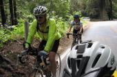 CA9 in Henry Cowell Redwoods (330ft)