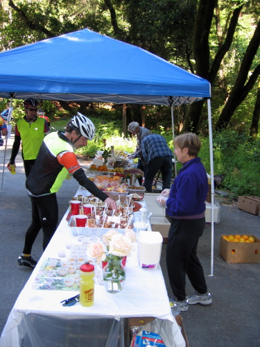 Yogurt fruit cups at McDonald Park rest stop.