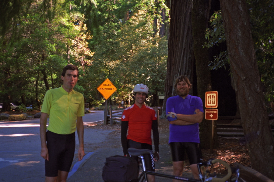 Pausing in Big Basin Redwoods State Park