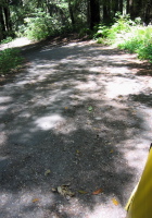 Pipeline Rd., first descent, asphalt condition (390ft)