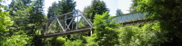 Railroad Bridge over the San Lorenzo River in Henry Cowell Redwoods (240ft)