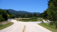 Entrance Meadow at Henry Cowell Redwoods State Park (270ft)