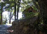 Old Cabin on Skyline Blvd. south of Black Rd. (2340ft)