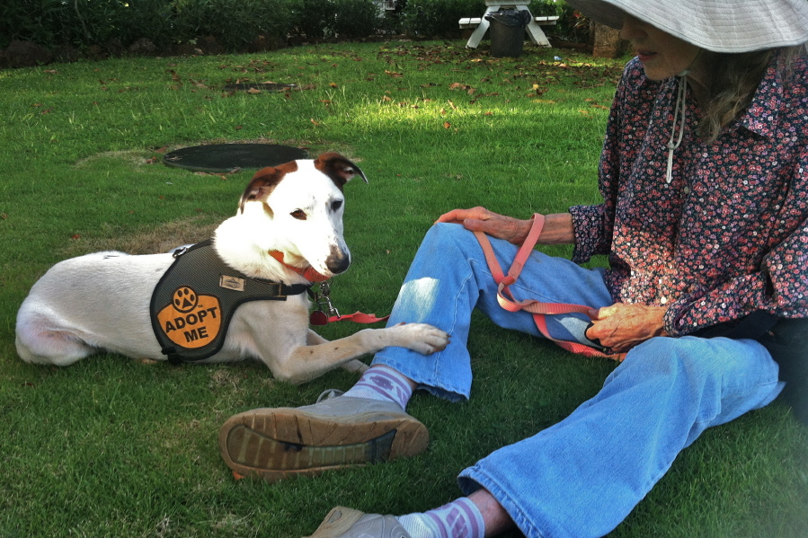 Kay and the shelter dog on a lawn (2)