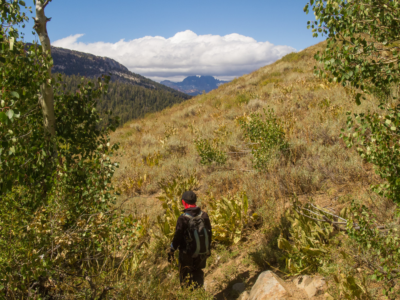 The tops of the distant Minarets are in the clouds.  Photo courtesy of Frank Paysen.