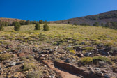 This is steeper than it looks, but it avoided the dangerous traverse beneath the nose of the ridge from yesterday.