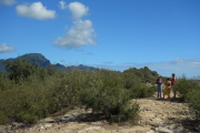 Ironwood (Casuarina equisetifolia) trees and shrubs have nearly covered the area.