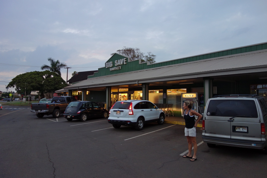 Grocery shopping at the Big Save