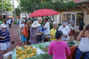 Kay buys some bok choy.