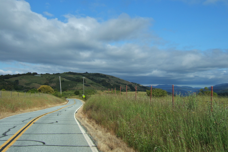 Descending Page Mill Rd. near Montebello Open Space