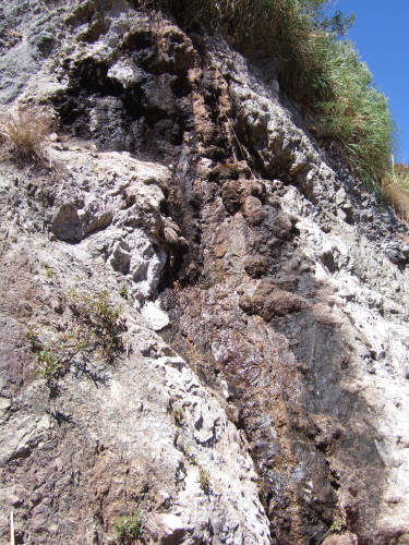 Spring along the Limekiln Trail.