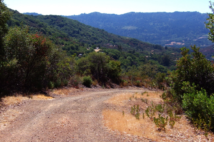 Looking down the Limekiln Trail.