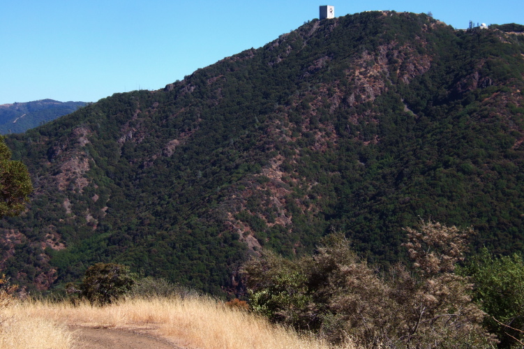 Woods Trail descends