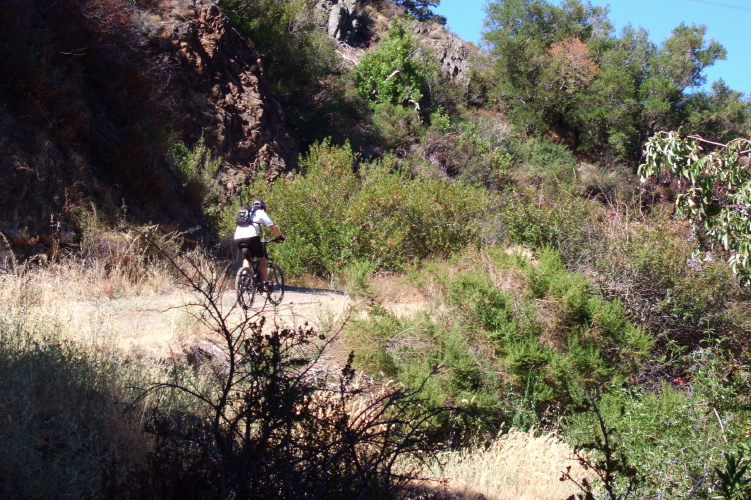 Cyclist ascending Woods Trail.