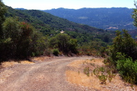 Looking down the Limekiln Trail.