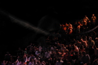 Tapir climbing down the rope over the audience.