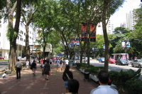 Typical sidewalk scene on Orchard Rd.