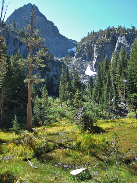 Blue Crag dominates the scene at Gentian Meadow.