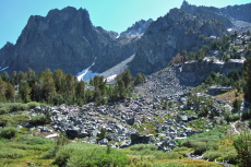 View uphill from Sky Meadow.