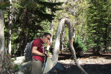 Bill tries out the contrabassoon tree.