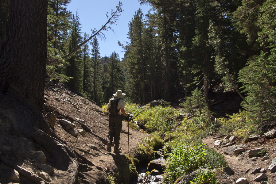 Bill plods up the trail to Gentian Meadow alongside Coldwater Creek.