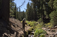Bill plods up the trail to Gentian Meadow alongside Coldwater Creek.
