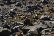 Bill waits for Frank and Stella near the last of the talus.
