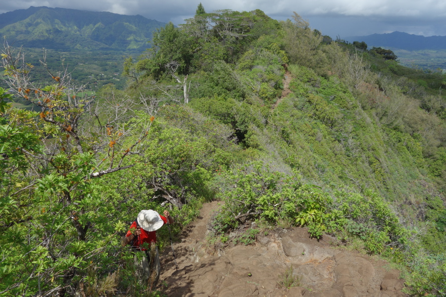 David nears the spot where he decides to turn back and wait at the picnic area.