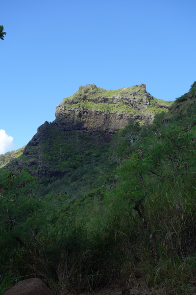 First view of the summit from the trail