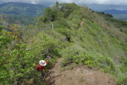 David nears the spot where he decides to turn back and wait at the picnic area.