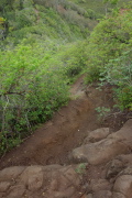 View down the steep part where David turned back.