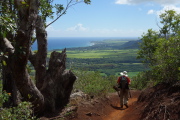 David descends the eastern side of Mt. Nounou.