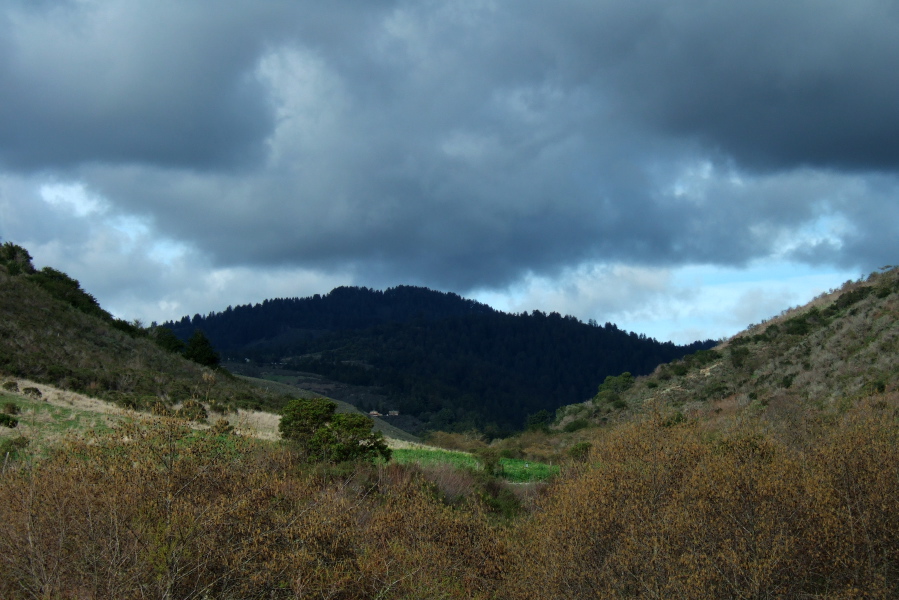 Tunitas Creek Rd. climbs beneath the no-longer-bald Bald Knob under a dark cloud.
