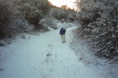 David nears the summit.