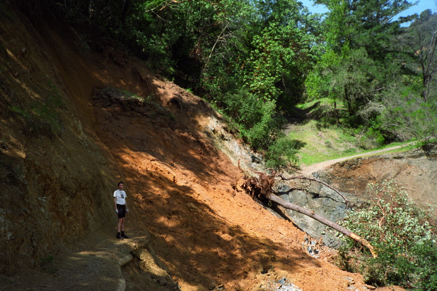 Mudslide blocking the Canyon Trail.