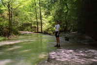 Stevens Canyon Rd. fords Stevens Creek.