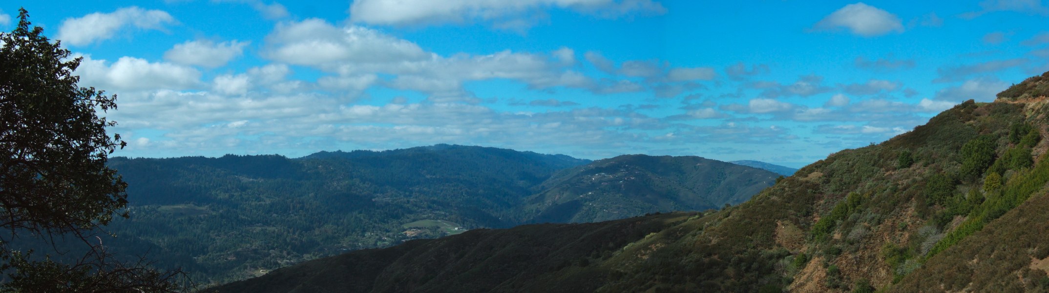 Castle Rock Ridge (high point) from Weaver Rd.