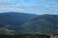 View up Lyndon Canyon from Weaver Rd.