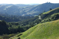 Old La Honda Rd. (west) from Skyline Blvd. near Windy Hill.