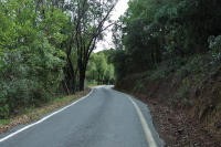 Riding up the upper reach of Soda Springs Rd.