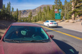 Stella was feeling a bit quesy from the drive up the west side of Sonora Pass.