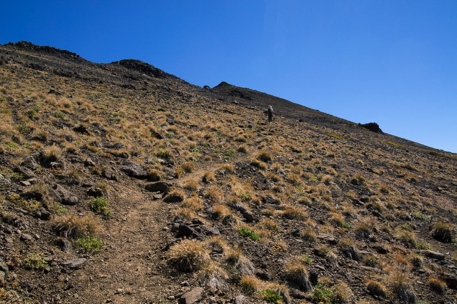 Bill climbs the use trail to the summit.