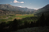 Leavitt Meadow from CA108.