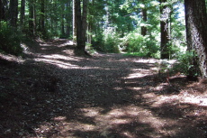 The main road keeps to the right.