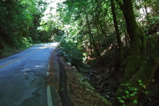 Climbing the steep part of Redwood Gulch Rd.