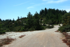 South Butano Road west of the airstrip as it descends gradually along the ridge