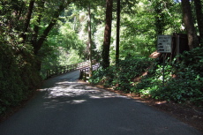 Crossing the Wurr Road bridge
