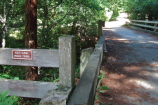 The start of Old Haul Road at Hoffman Flat Trailhead
