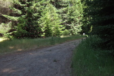 Old Haul Road continues up Pescadero Creek.