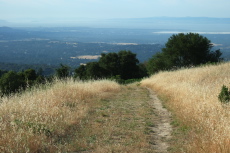 Passing through the Meadow